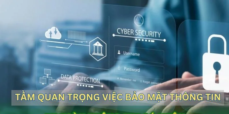 Lợi ích tuyệt vời đến từ chính sách bảo mật 79king.