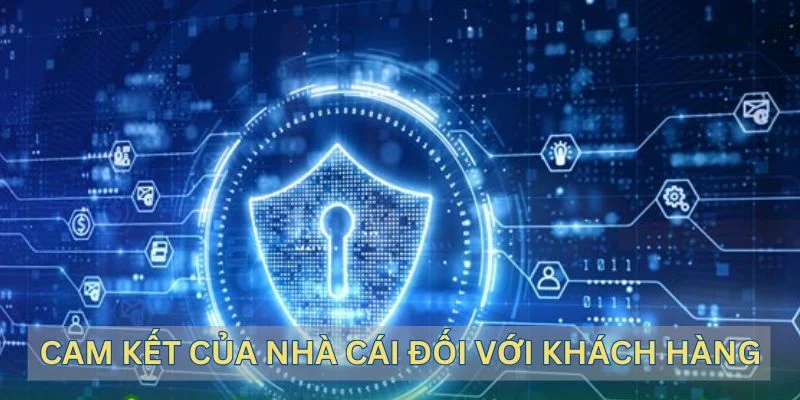 Những cam kết được đề cập trong chính sách bảo mật.