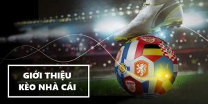 top 10 kèo nhà cái uy tín