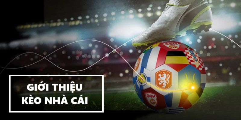 top 10 kèo nhà cái uy tín